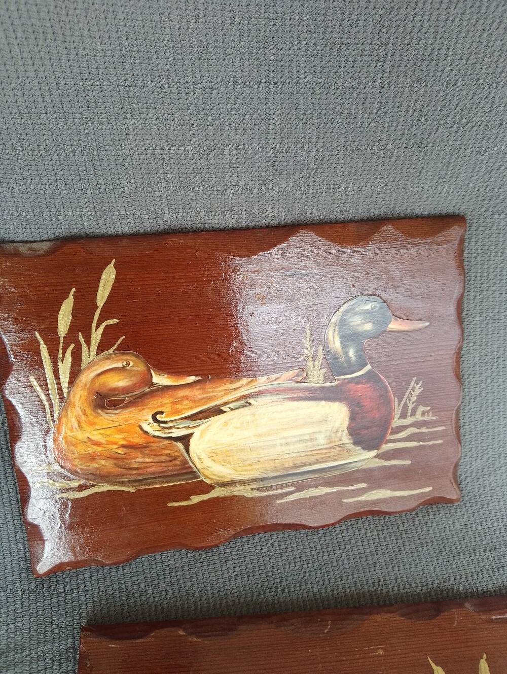 Duck Pictures - Picture 3 of 7